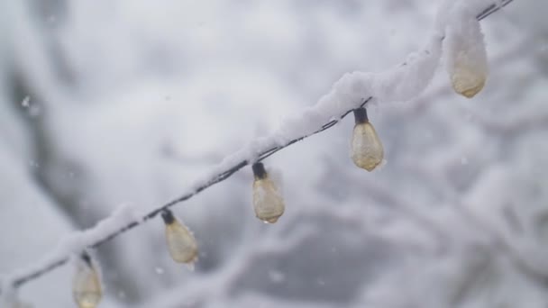 Snow Fall in slow motion — Stock Video