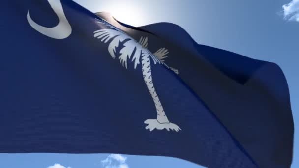 Bandera de Carolina del Sur ondeando al viento — Vídeo de stock