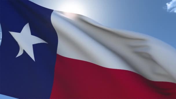 德克萨斯州在风中挥舞的旗帜 — 图库视频影像