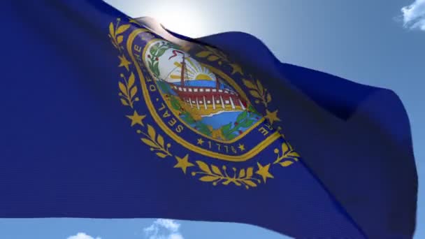 Vlag van New Hampshire zwaaien in de wind — Stockvideo