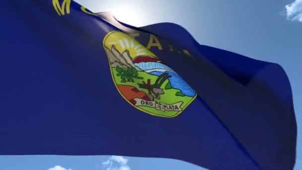 Drapeau du Montana agitant le vent — Video