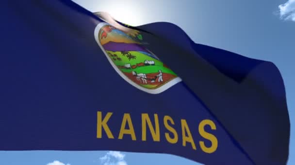 Vlag van Kansas zwaaien in de wind — Stockvideo