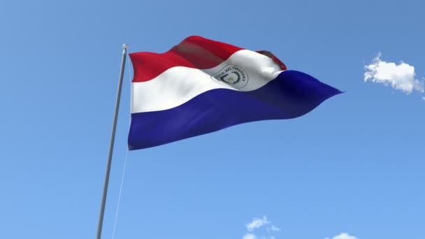 Bandera de Paraguay ondeando — Vídeo de stock