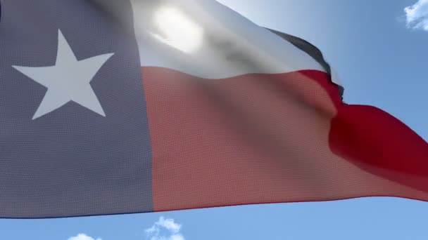 Flagga Texas viftar — Stockvideo
