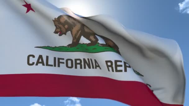 California rüzgarda sallayarak bayrak — Stok video