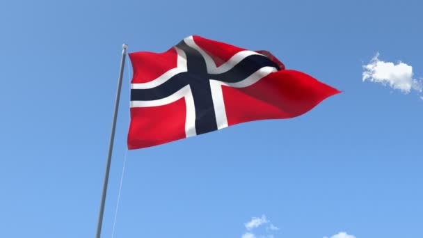Vlag van Noorwegen zwaaien — Stockvideo