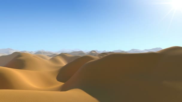 Oase in der Wüste — Stockvideo
