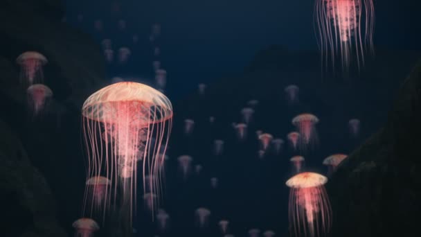 3D рендеринг Jelly Fishes — стоковое видео