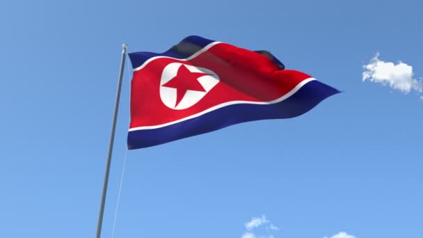 Nordkoreas flagga — Stockvideo