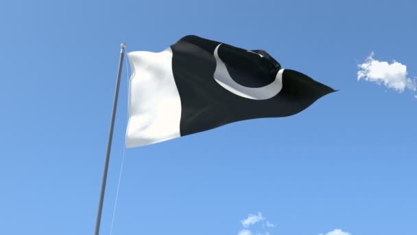 Flaga Pakistanu macha — Wideo stockowe