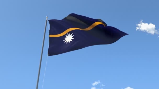 Drapeau de Nauru agitant — Video