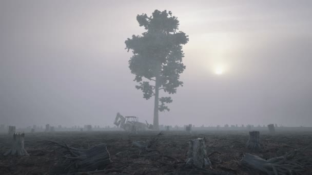 Avskogning: Trädet faller — Stockvideo