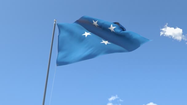 Flag of Micronesia Waving — Stock Video