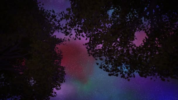 2 Δέντρα τη νύχτα φυσούν — Αρχείο Βίντεο