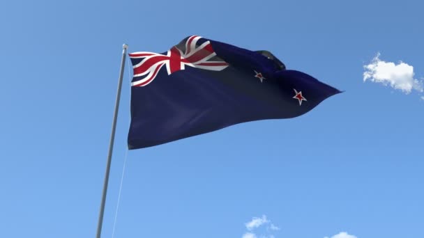 Флаг Новой Зеландии — стоковое видео