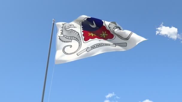Σημαία της Μαγιότ που ανεμίζει Βίντεο Κλιπ