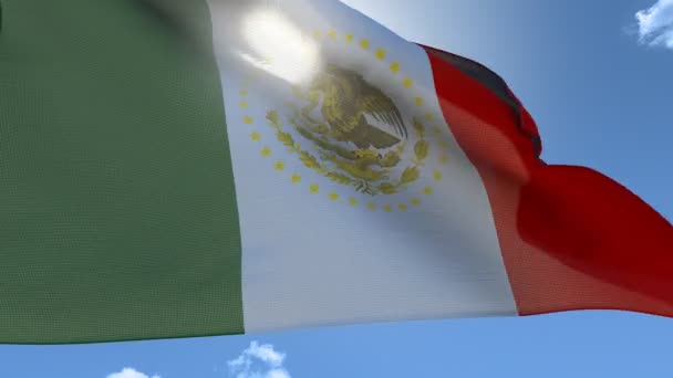 Vlag van mexico zwaaien — Stockvideo