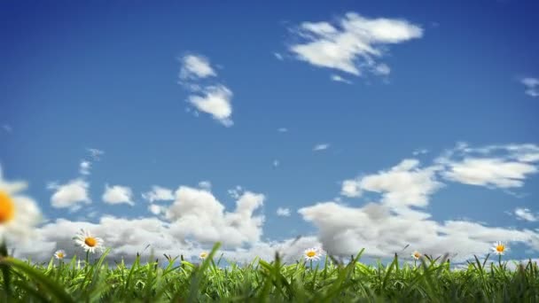 Herbe soufflant, boucle sans couture avec Alpha 