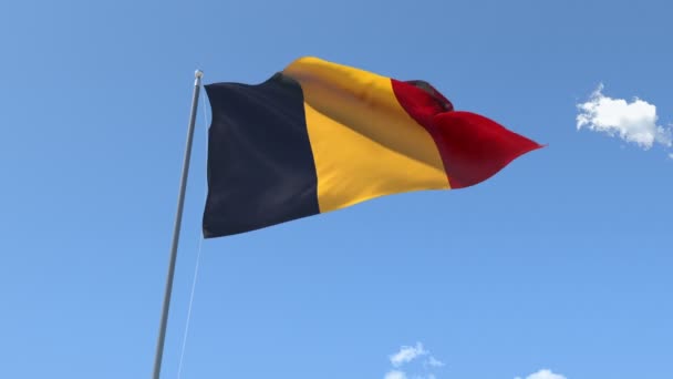 Flagga vifta med Tchad — Stockvideo