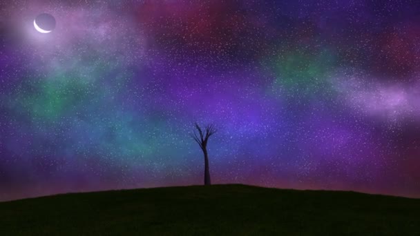 Albero Crescere, Time-Lapse notte al giorno — Video Stock