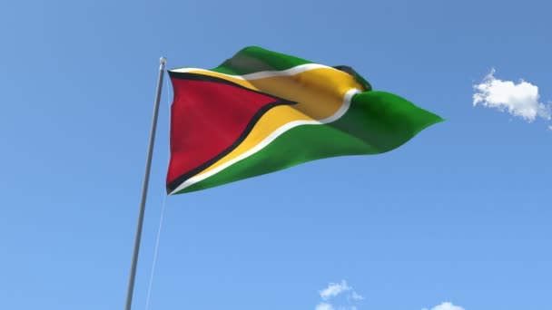 Bandeira da Guiana Acenando — Vídeo de Stock