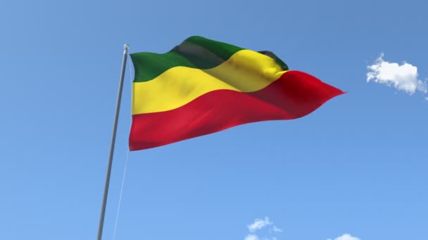 Zászló Etiópia integetés — Stock videók