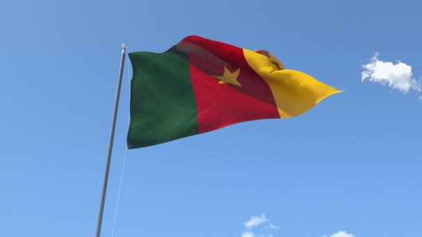 Drapeau du Cameroun agitant — Video