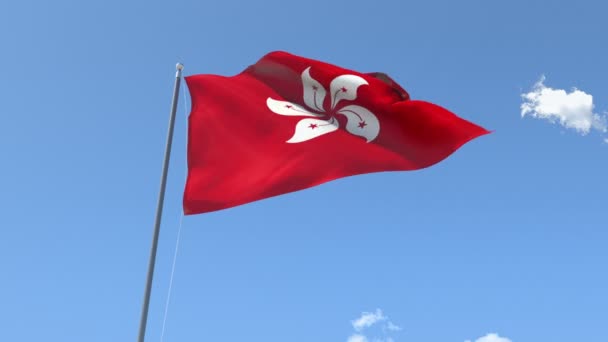 Flag of Hong Kong Waving Stock Video