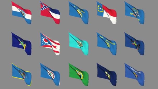 Flags of the 50 US states - Part 4 of 4 — Stock Video