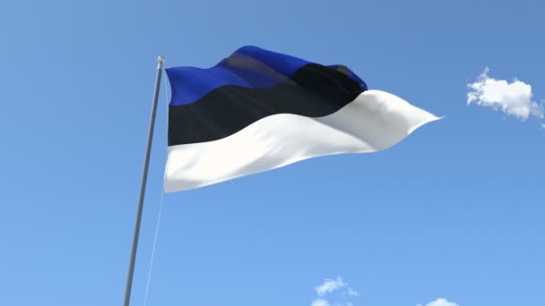 Bandera de Estoria ondeando — Vídeos de Stock