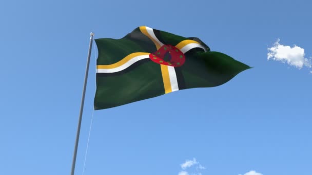 Vlajka Dominiky mávající — Stock video