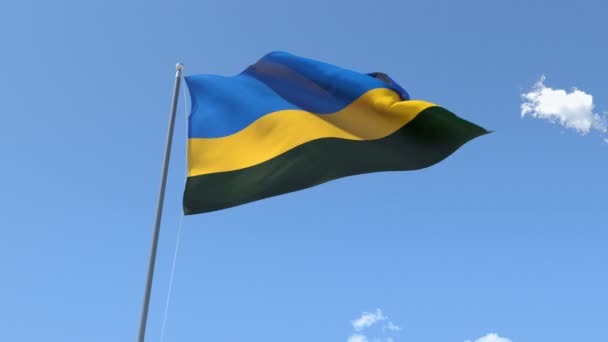 Vlajka Rwandy mává — Stock video