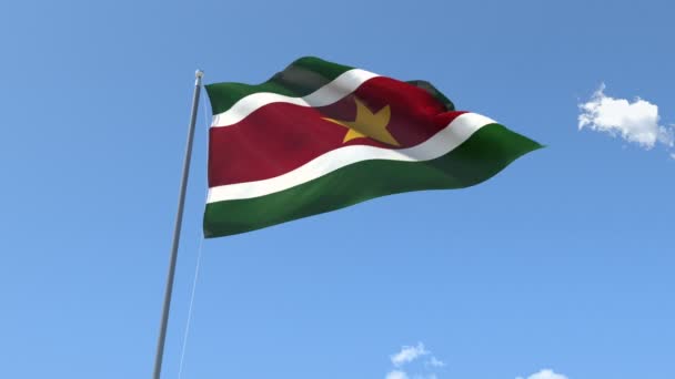 Bandeira do Suriname Acenando — Vídeo de Stock