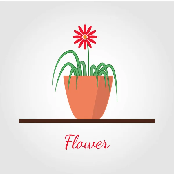 Flower in the pot vector illustration — Stock Vector