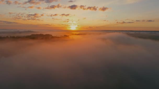 カメラをゆっくりと霧の上を飛んでいます 湖の上に朝の霧の空中ショット 緑豊かな雲がカメラの前を飛ぶ 柔らかくて強い朝の光 — ストック動画