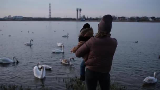 Mamma Och Barn Titta Svanar Och Andra Fåglar Sjön Tillsammans — Stockvideo