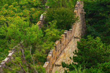Çin Seddi, Çin Seddi, Çin Seddi 'nin sembolü..