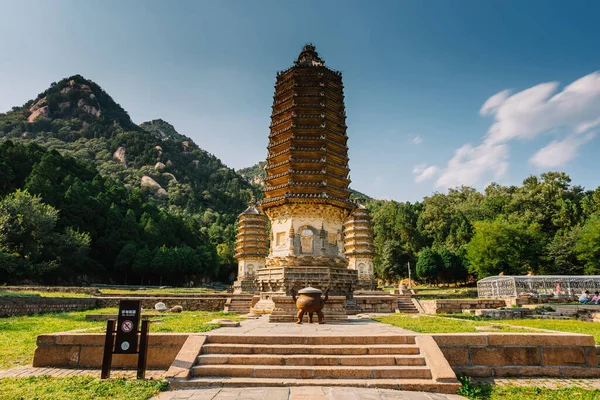 Yinshan Pagoda Ormanı Antik Pagoda Kompleksi Çin Turistik Cazibesi Stok Fotoğraf