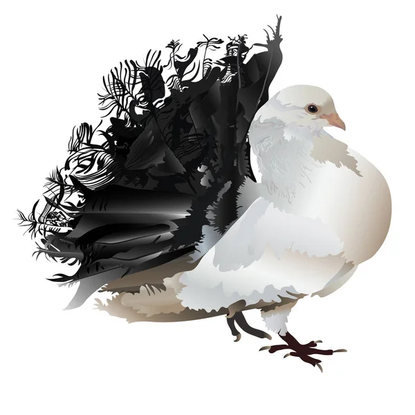 Güzel kuyruklu güvercin güvercin — Stok Vektör