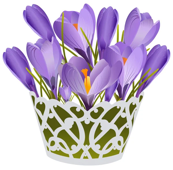 Panier de crocus lilas illustration vectorielle — Image vectorielle