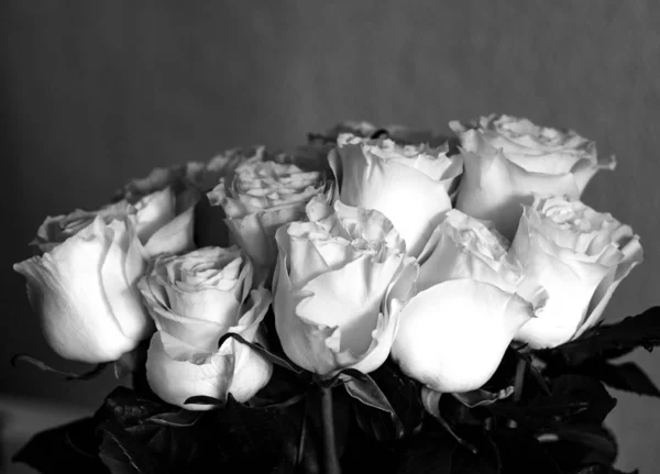 Black and white photo. A bouquet of white roses.