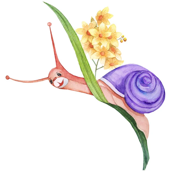 一只小蜗牛坐在草叶上的水彩画 — 图库照片