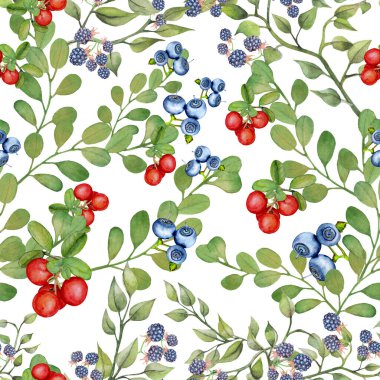 Yeşil çimen dallarının kusursuz dokusu ve beyaz arka planda yabani böğürtlen.