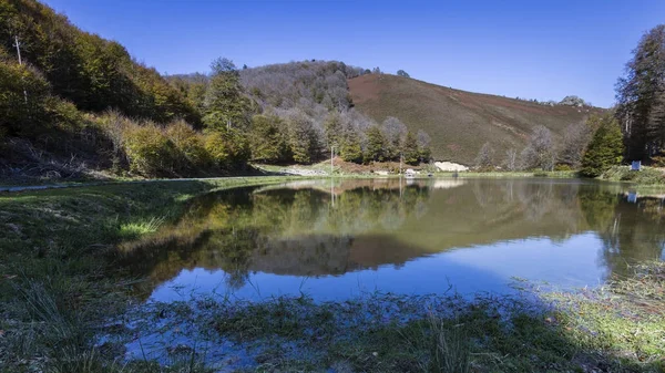 sonbaharda ormanda Pyrenees