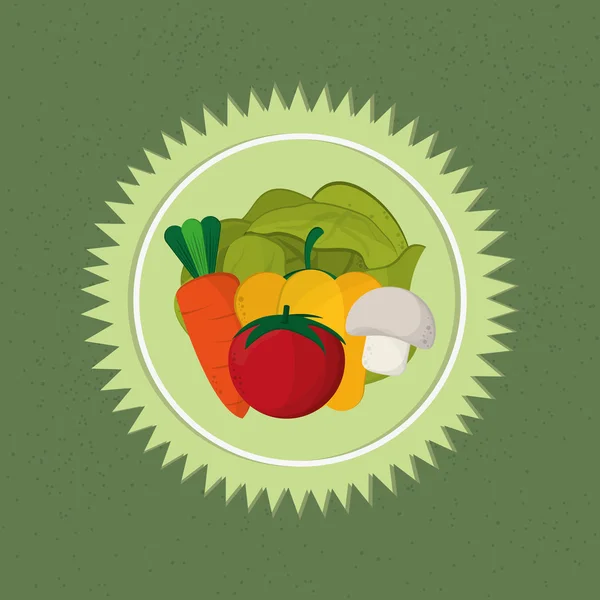健康食品の成分のアイコン画像 — ストックベクタ