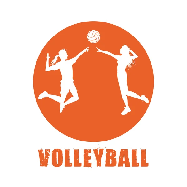 Volleyball sport and hobby design — Stock Vector