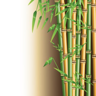 Bambu gövde yaprakları tasarımı ile