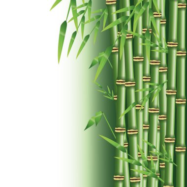 Bambu gövde yaprakları tasarımı ile