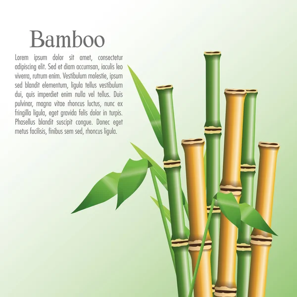 Batang bambu dengan desain daun - Stok Vektor