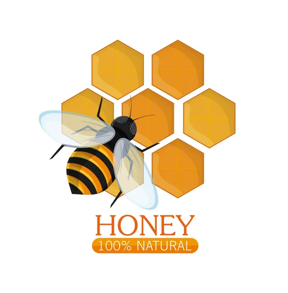 Honey design zdravých a bio potravin — Stockový vektor